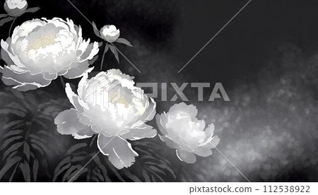 黑色背景白牡丹花插畫(AI生成素材) 黑色背景白牡丹花插畫(AI生成素材) 112538922