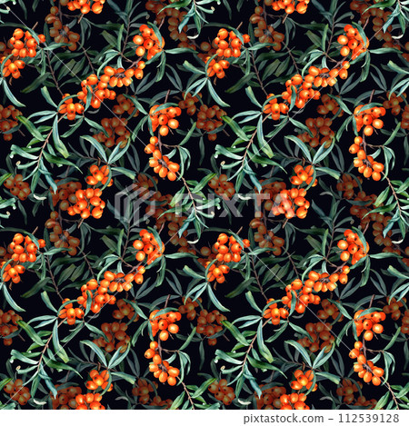 Seamless pattern with medicinal plant sea buckthorn branches. Hand drawn watercolor botanical illustration for wrapping wallpaper fabric textile Seamless pattern with medicinal plant sea buckthorn branches. Hand drawn watercolor botanical illustration for wrapping wallpaper fabric textile 112539128