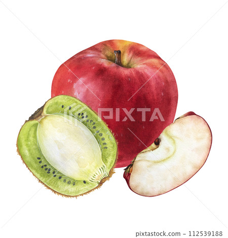 Kiwi and Apple Watercolor illustration. Hand drawn Fruits on isolated white background. Botanical clip art painting. Plant drawing for nature print and stickers. For food packaging design Kiwi and Apple Watercolor illustration. Hand drawn Fruits on isolated white background. Botanical clip art painting. Plant drawing for nature print and stickers. For food packaging design 112539188