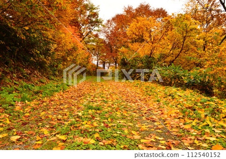 秋葉中的烏拉蜿蜒山路 秋葉中的烏拉蜿蜒山路 112540152