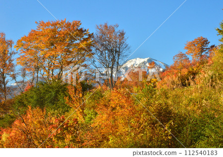 從錦州江戶峠看到新雪的駒岳 112540183