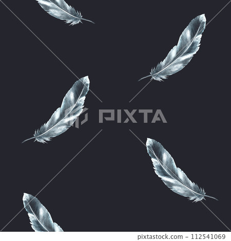 Watercolor seamless pattern with monochrome bird feather grey black color with granulation of shades, ornaments. Quills wings drawing illustration. Wallpaper wrapping fabric Isolated dark background Watercolor seamless pattern with monochrome bird feather grey black color with granulation of shades, ornaments. Quills wings drawing illustration. Wallpaper wrapping fabric Isolated dark background 112541069