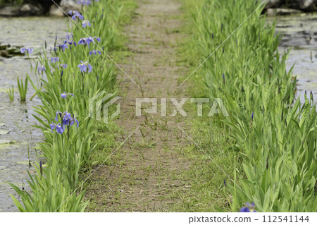 causeway causeway 112541144