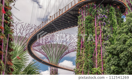 Futuristic view of amazing supertrees at Garden by the Bay timelapse in Singapore. Futuristic view of amazing supertrees at Garden by the Bay timelapse in Singapore. 112541269