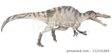 Suchomimus = 生活在現今尼日周圍的類似鱷魚的生物 Suchomimus = 生活在現今尼日周圍的類似鱷魚的生物 112541864