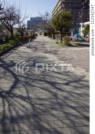 Iwase, Kamakura City, Spring at Sunaoshi River Promenade, Tamanawa cherry blossoms Iwase, Kamakura City, Spring at Sunaoshi River Promenade, Tamanawa cherry blossoms 112542347