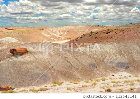 Alien Landscape Petrified Forest National Park Arizona Alien Landscape Petrified Forest National Park Arizona 112543141