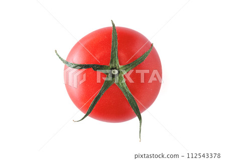 High GABA tomato from Kochi Prefecture, white background, true overhead view 112543378