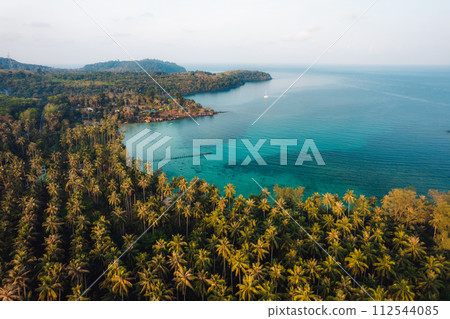 Coconut tree garden by the sea on the island, high angle view 112544085