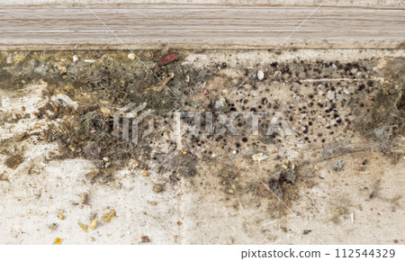 Dirt and mould on the floor, very dirty tiles, the concept of cleaning in the house. 112544329