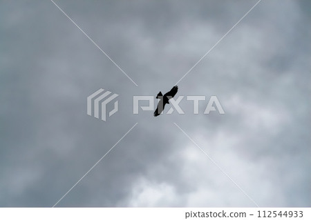 A kite flies in the gloomy rainy sky 112544933