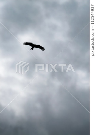 一隻風箏在陰沉的雨天飛翔 112544937