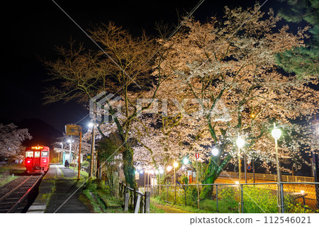 Kiha 220 系列柴油列車夜間停在燈火通明的佐倉站 Kiha 220 系列柴油列車夜間停在燈火通明的佐倉站 112546021