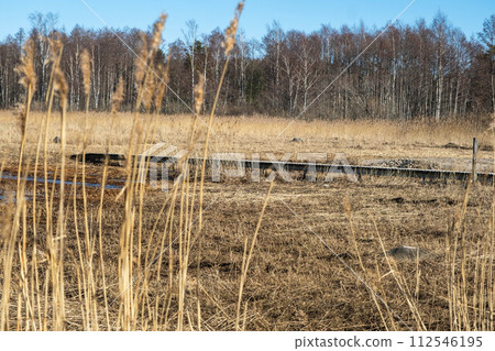 Tranquil Landscape of Dry Grassland and Distant Forest. 112546195