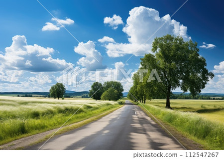 Landscape and road. Generative AI 112547267