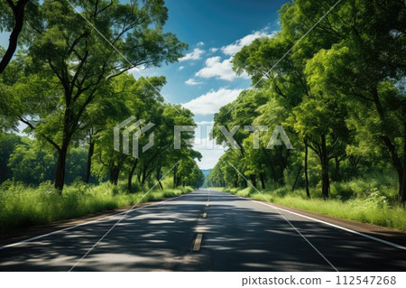View of road through green forest. Generative AI 112547268