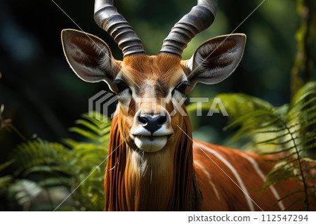 Big eastern bongo antelope. Generative AI 112547294