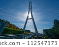 white suspension bridge over the forest 112547373