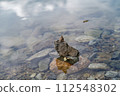 Pond and stone 112548302