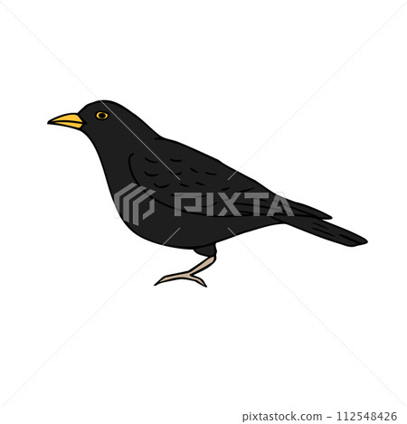Vector hand drawn doodle sketch black catbird bird Vector hand drawn doodle sketch black catbird bird 112548426