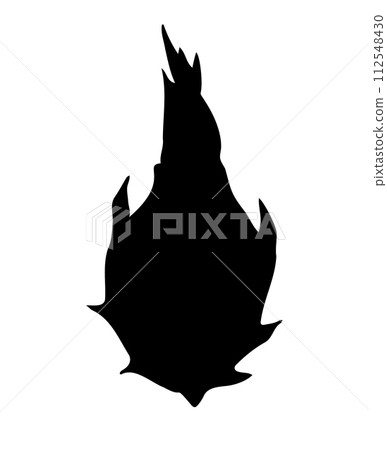 Vector hand drawn dragon fruit silhouette Vector hand drawn dragon fruit silhouette 112548430