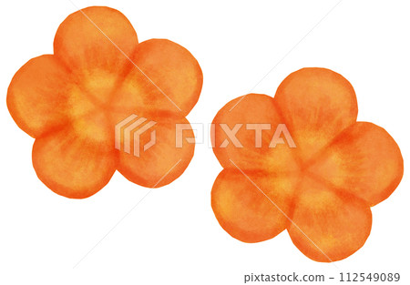 Twisted plum illustration decorative cut 112549089