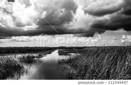 Cloudy skies above the open Florida Everglades grasslands with pathway  112549497