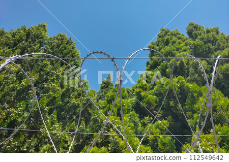 Round barbed wire over wall with flat spikes has become a symbol of closed borders during pandemic, martial law and has become a nightmare for those who want to leave place in which they are located 112549642