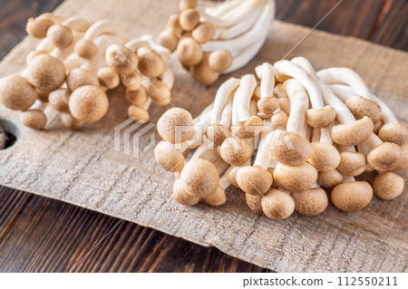 Brown beech mushroom 112550211