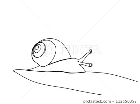 Snail. One line drawing animation with alpha channel. Snail. One line drawing animation with alpha channel. 112550352