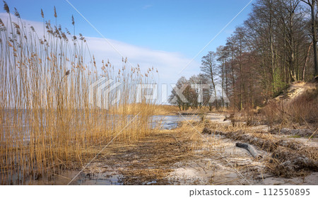 Beach on the Szczecin Lagoon, also known as Oder Lagoon or Pomeranian Lagoon, located in the Oder estuary, shared by Germany and Poland. 112550895