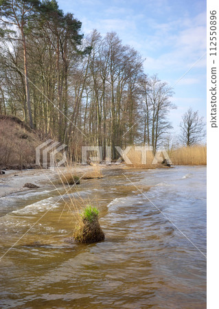 Beach at the Szczecin Lagoon, also known as Oder Lagoon or Pomeranian Lagoon, located in the Oder estuary, shared by Germany and Poland. Beach at the Szczecin Lagoon, also known as Oder Lagoon or Pomeranian Lagoon, located in the Oder estuary, shared by Germany and Poland. 112550896