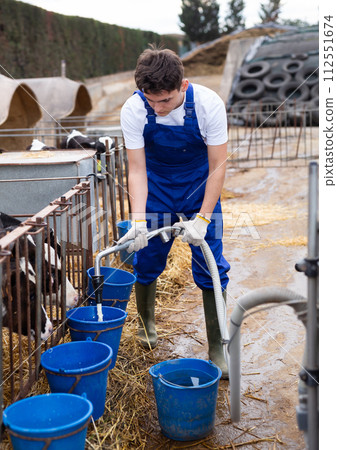 Farmer man feeds calves at dairy cow farm Farmer man feeds calves at dairy cow farm 112551674