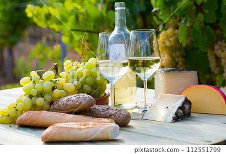Wine, cheese, grape on vineyard background 112551799