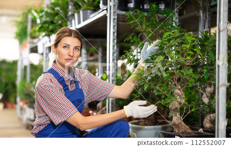 Adult female seller with pot of ficus in plant store Adult female seller with pot of ficus in plant store 112552007