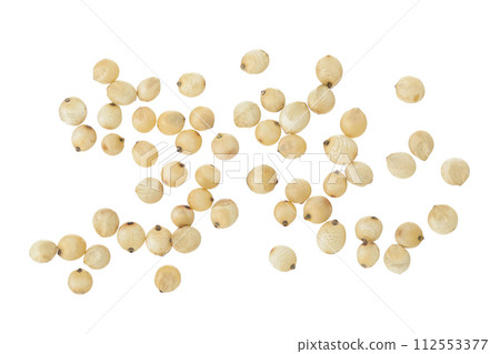 Sorghum seeds isolated on white background. Top view. Flat lay. 112553377