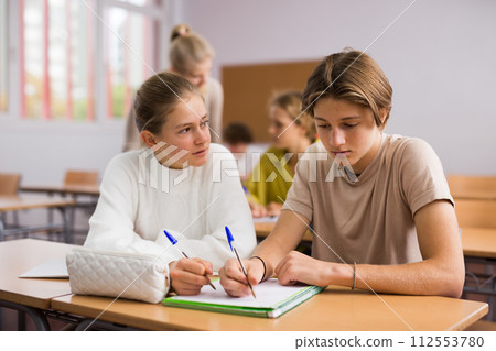 Teenagers doing tasks during lesson in school Teenagers doing tasks during lesson in school 112553780