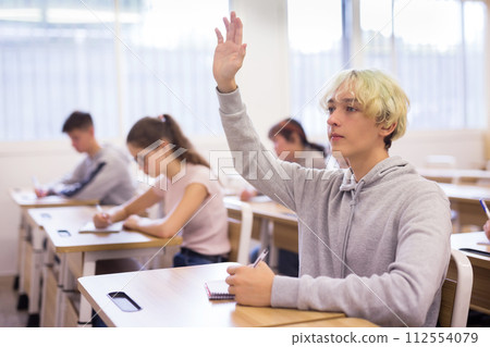 Teen boy sitting at desk in classroom 112554079