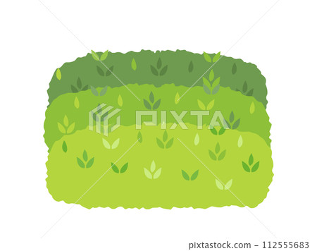 茶園的插圖 112555683