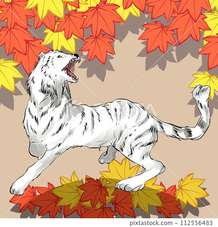 hand drawn illustration of white tiger 112556483