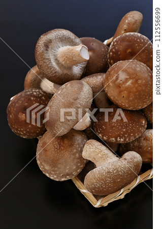 Shiitake 112556699