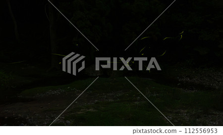 Floating fireflies Floating fireflies 112556953