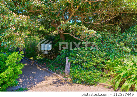 Entrance to Sunset Hill in Arasaki Park in Yokosuka City, Kanagawa Prefecture 112557449