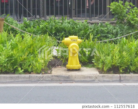 A silent fire hydrant A silent fire hydrant 112557618