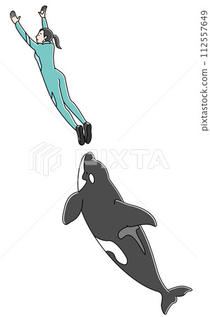 Killer whale show (color) Killer whale show (color) 112557649