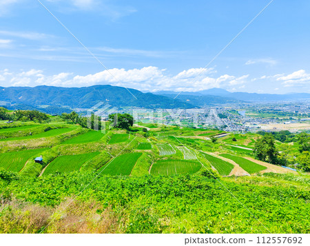Obasute 的梯田(6 月) Obasute 的梯田(6 月) 112557692