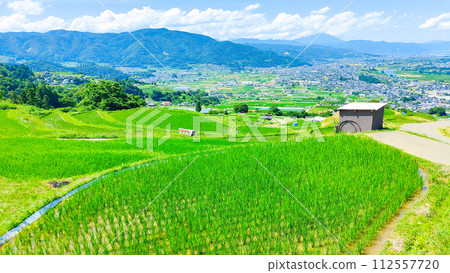 Obasute 的梯田（6 月） 112557720