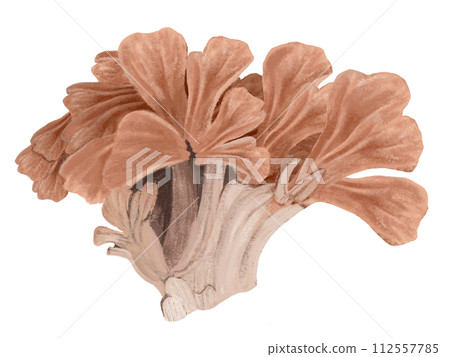 Dancers Dancers 112557785