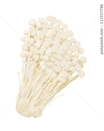 Enoki mushroom 112557786