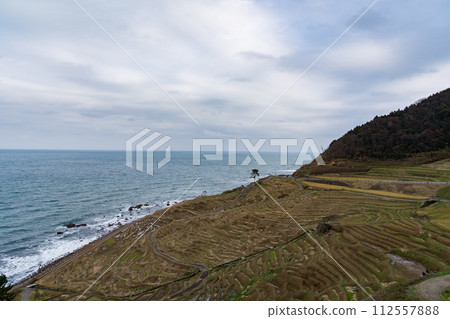 能登半島地震前俯瞰白色稻田的梯田 能登半島地震前俯瞰白色稻田的梯田 112557888